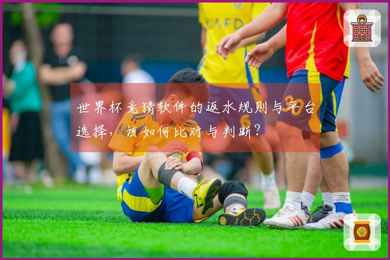 世界杯竞猜软件的返水规则与平台选择,该如何比对与判断?
