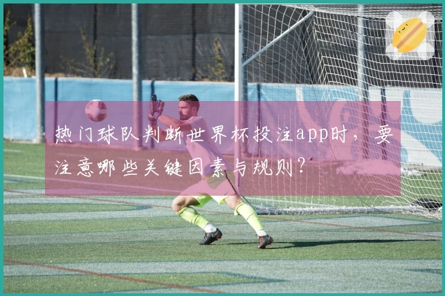 热门球队判断世界杯投注app时,要注意哪些关键因素与规则?