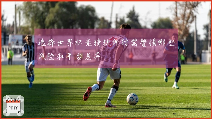 选择世界杯竞猜软件时需警惕哪些风险和平台差异